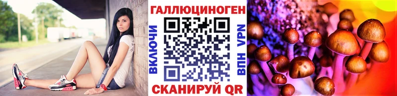 Псилоцибиновые грибы мицелий  Шенкурск 